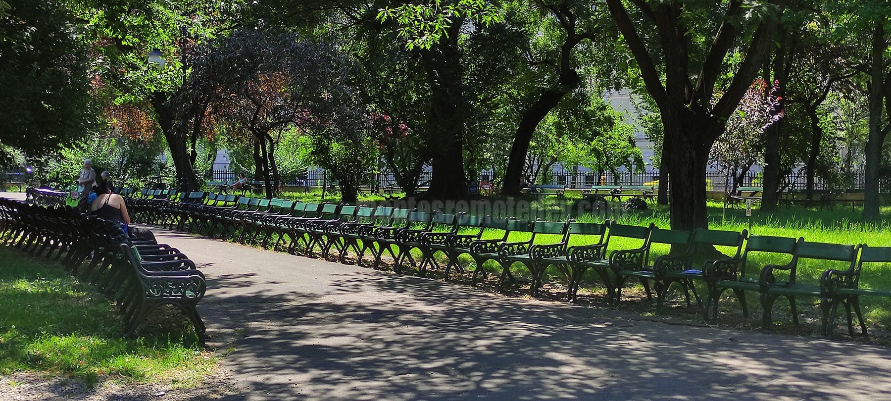 Bucharest Cismigiu Park