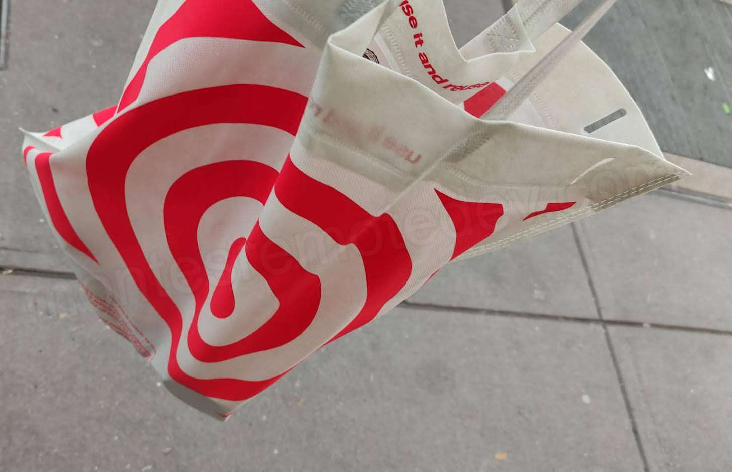 Target Stores Bag